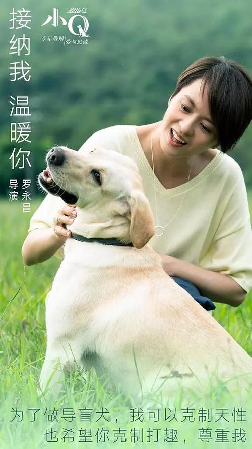 四川省95年高中毕业证样本